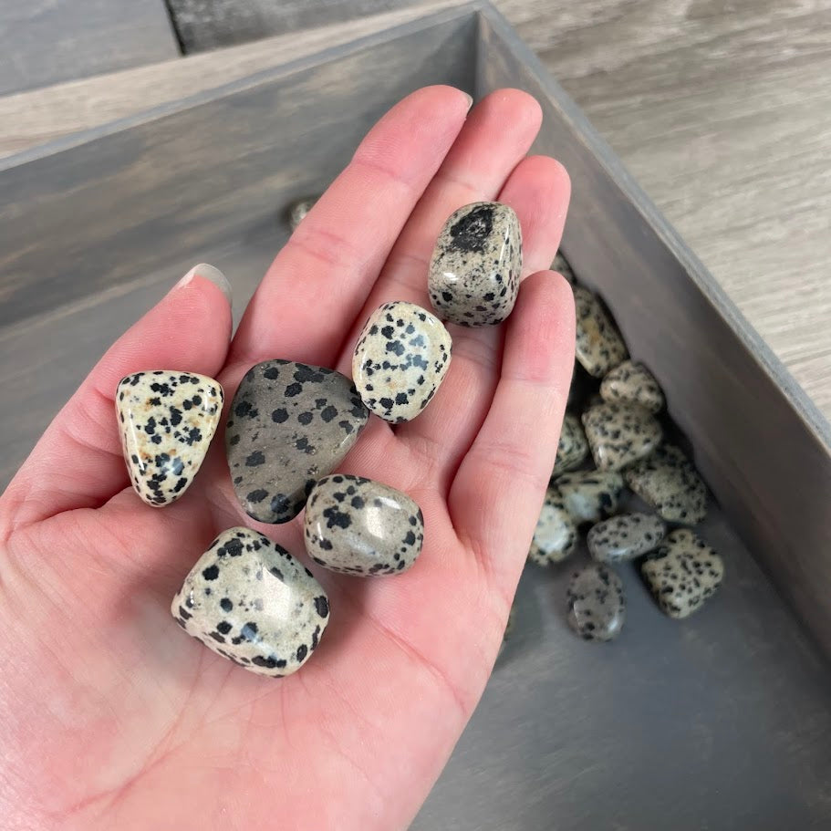 Bulk Dalmatian Jasper stones for resale