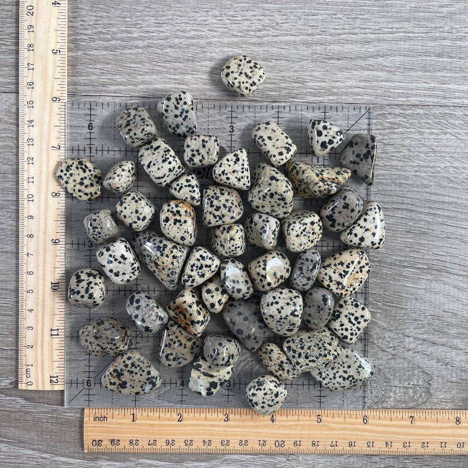 Dalmatian Jasper spotted tumbled crystal wholesale