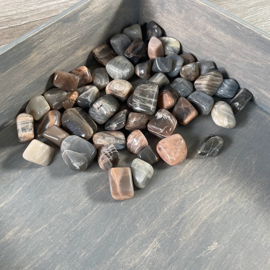 Bulk Black Moonstone polished stones for metaphysical stores