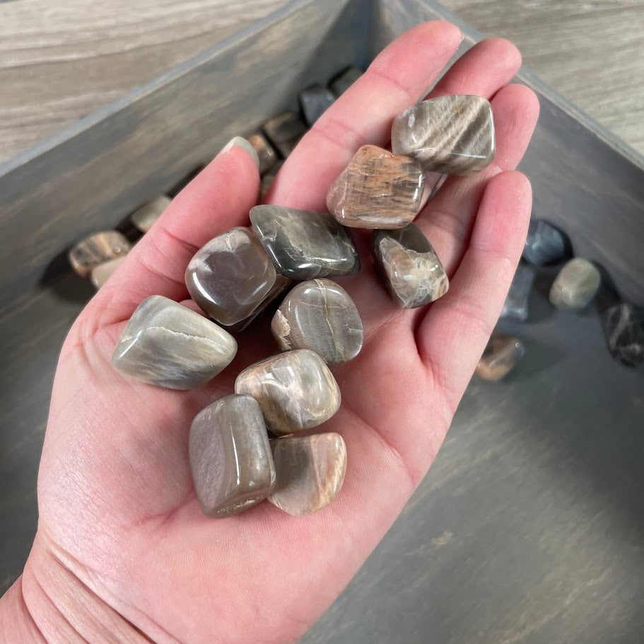 Wholesale Black Moonstone tumbled crystals for gift retailers