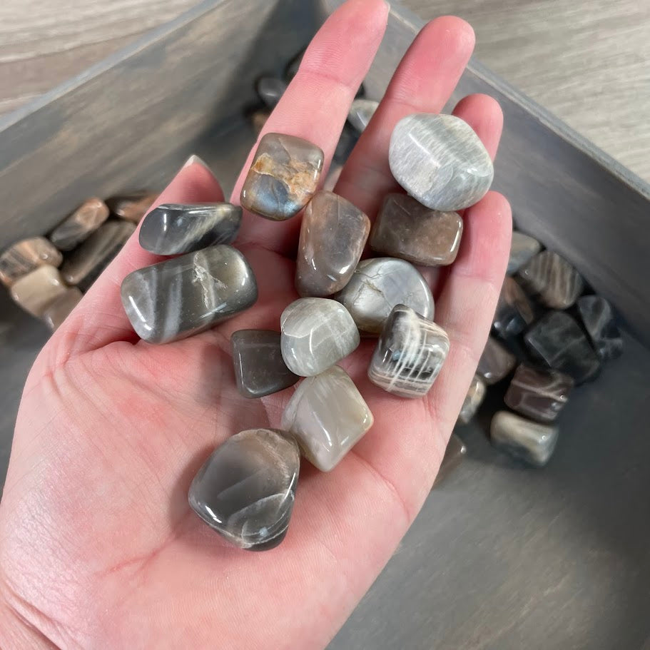 1 pound lot of Black Moonstone tumbled stones for resale
