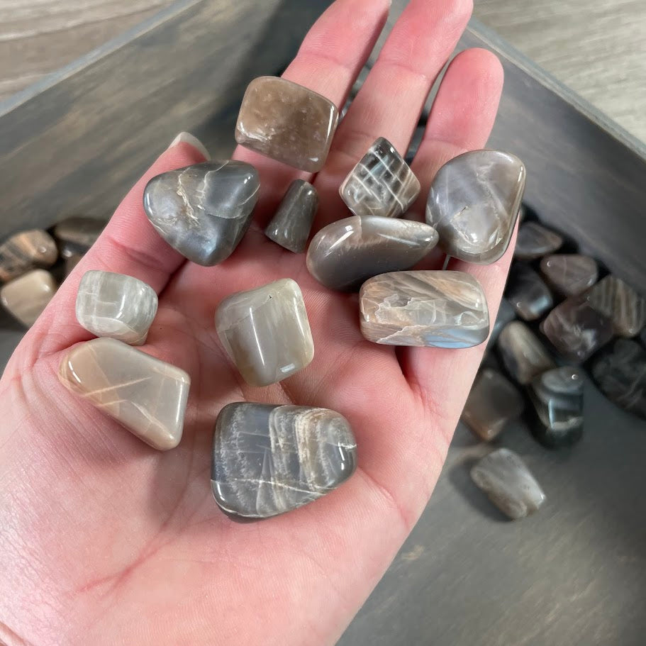 Bulk Black Moonstone stones for energy work and metaphysical shops
