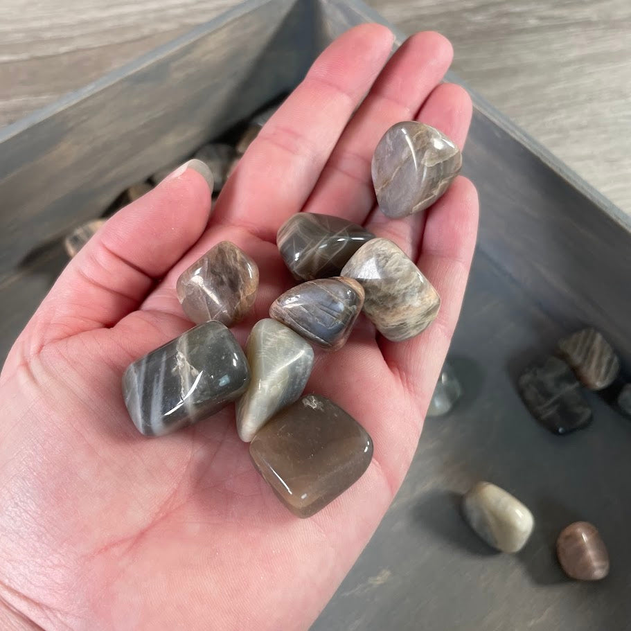 Natural tumlbed black moonstone for new age stores