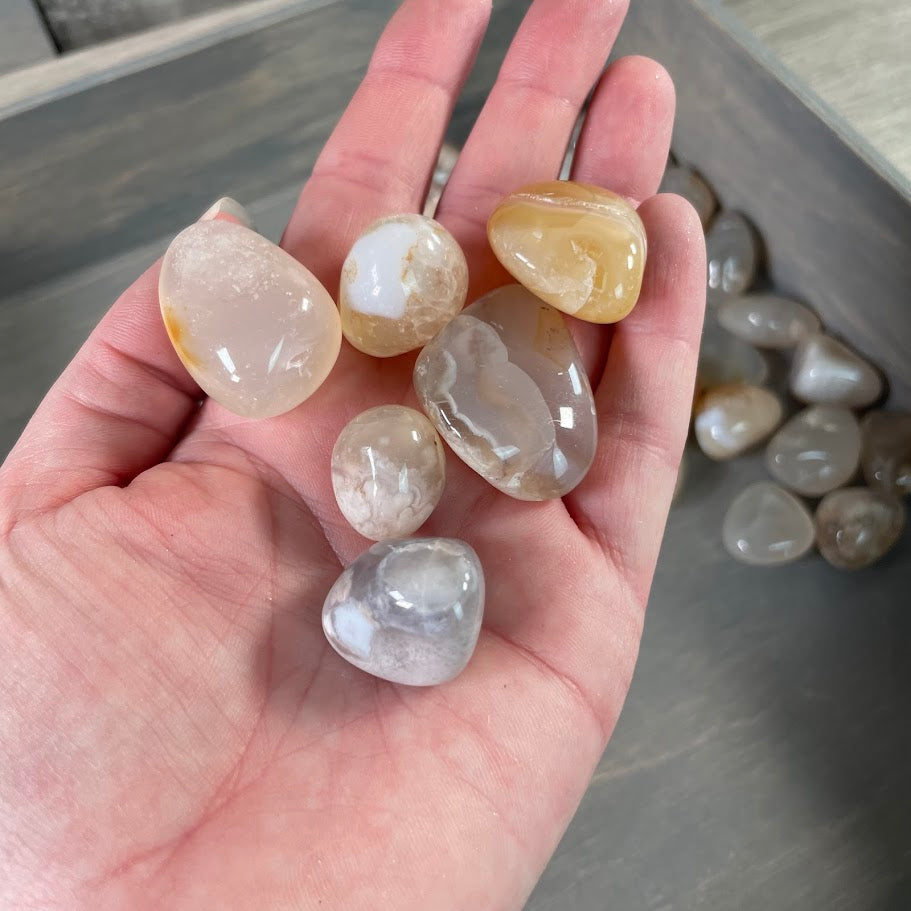 Wholesale Flower Agate Tumbled Stones - 1 LB Bulk Lot