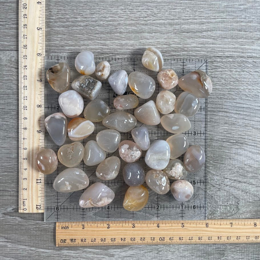 tumbled flower agate wholesale 1 lb lot