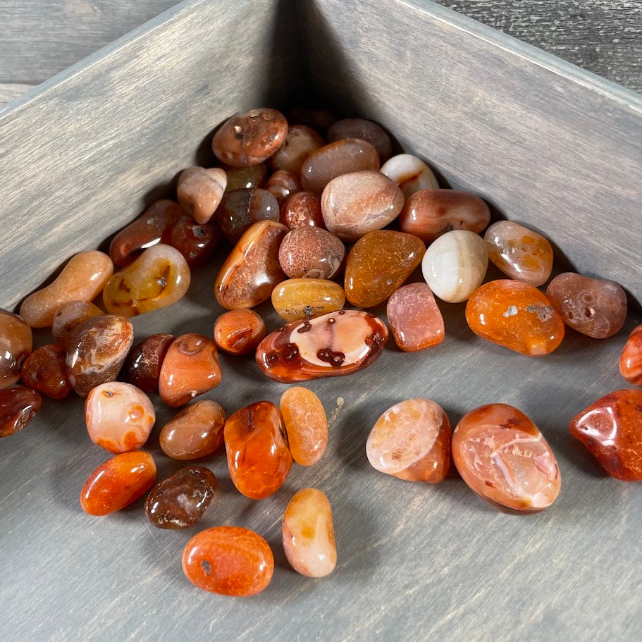 Carnelian Tumbled Stones 1 Pound lot for Crystal Shops