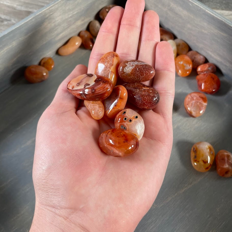Carnelian Tumbled Stones 1 Pound lot for Crystal Shops