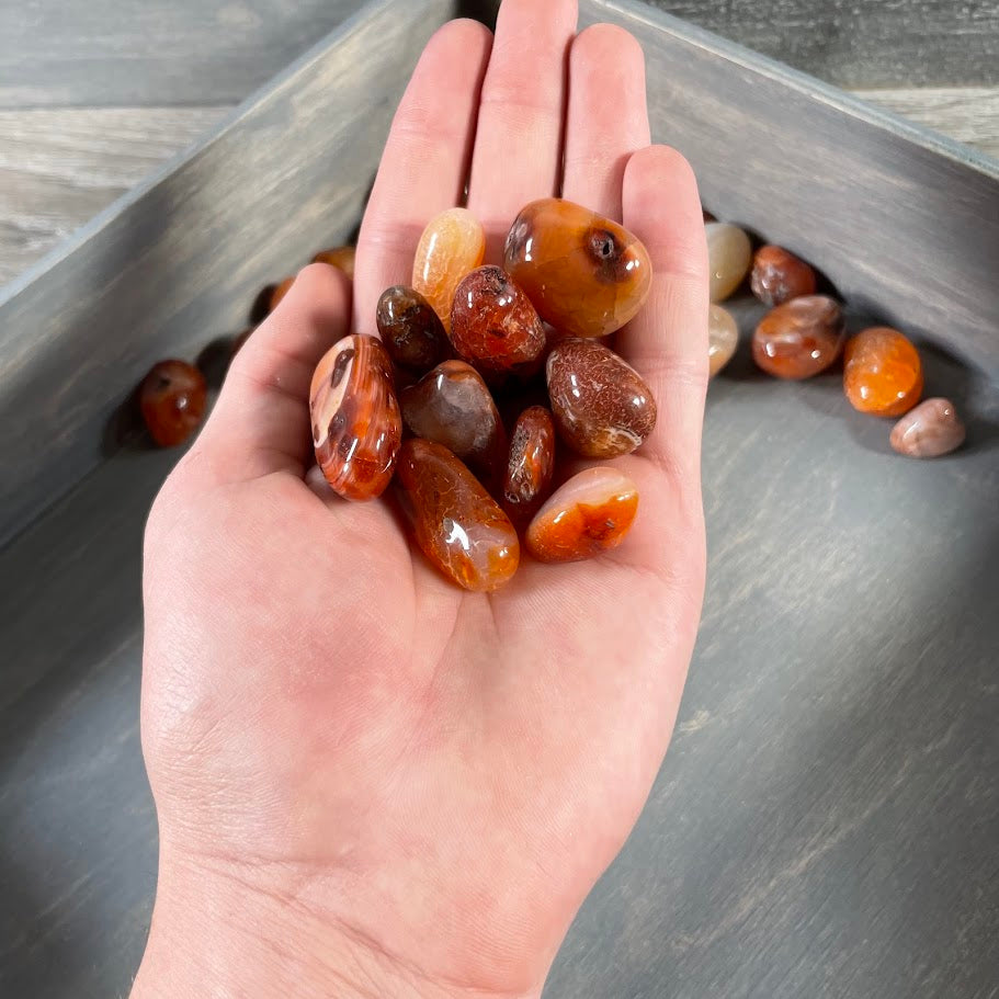 Carnelian Tumbled Stones 1 Pound lot for Crystal Shops