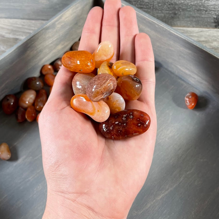 Carnelian Tumbled Stones 1 Pound lot for Crystal Shops