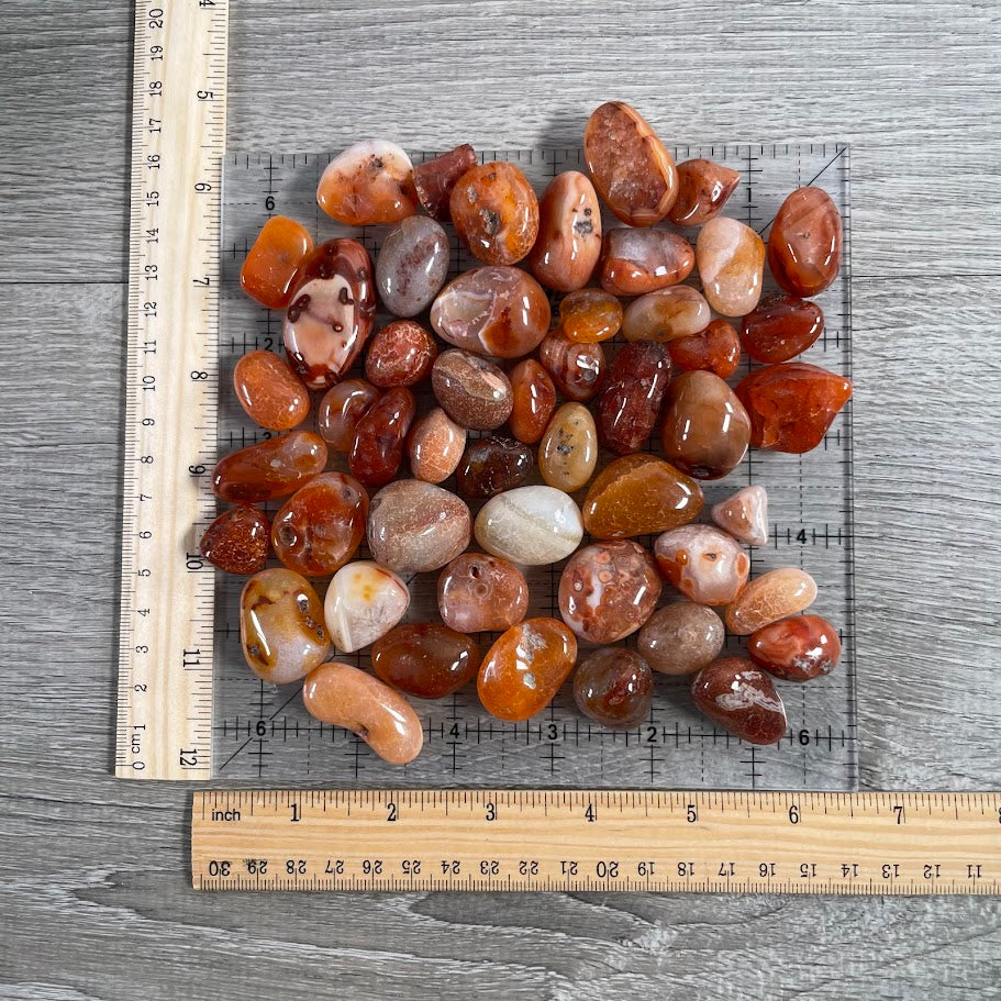 Carnelian Tumbled Stones 1 Pound lot for Crystal Shops