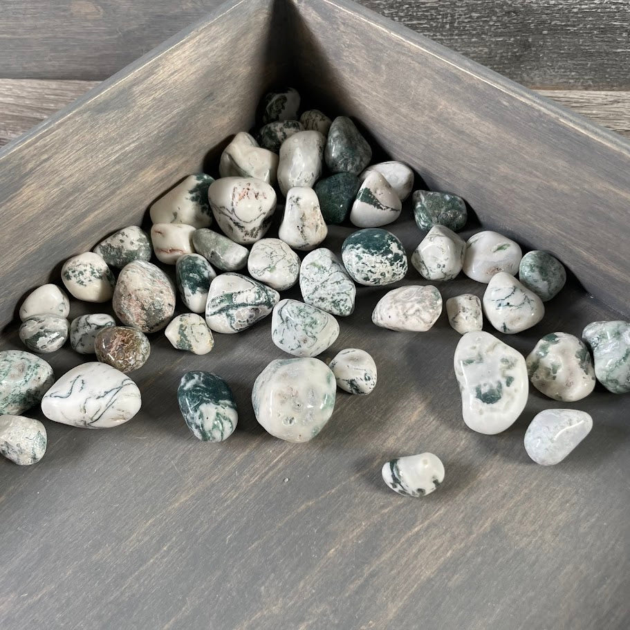 Green and white Tree Agate crystals in a 1-pound wholesale assortment