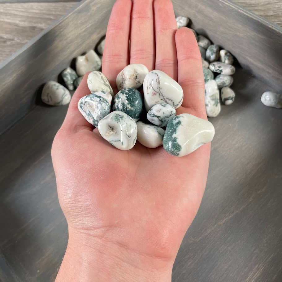 1 lb lot of Tree Agate tumbled stones polished for wholesale