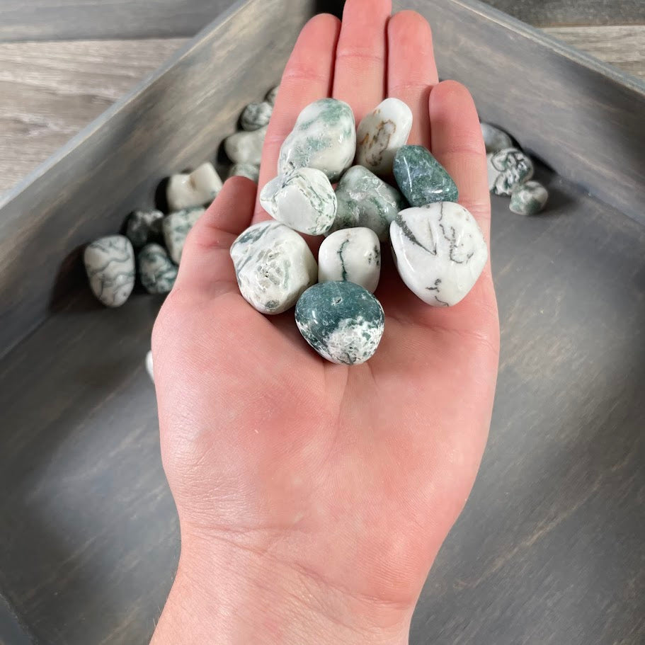 Wholesale Tree Agate tumbled stones for healing and energy work