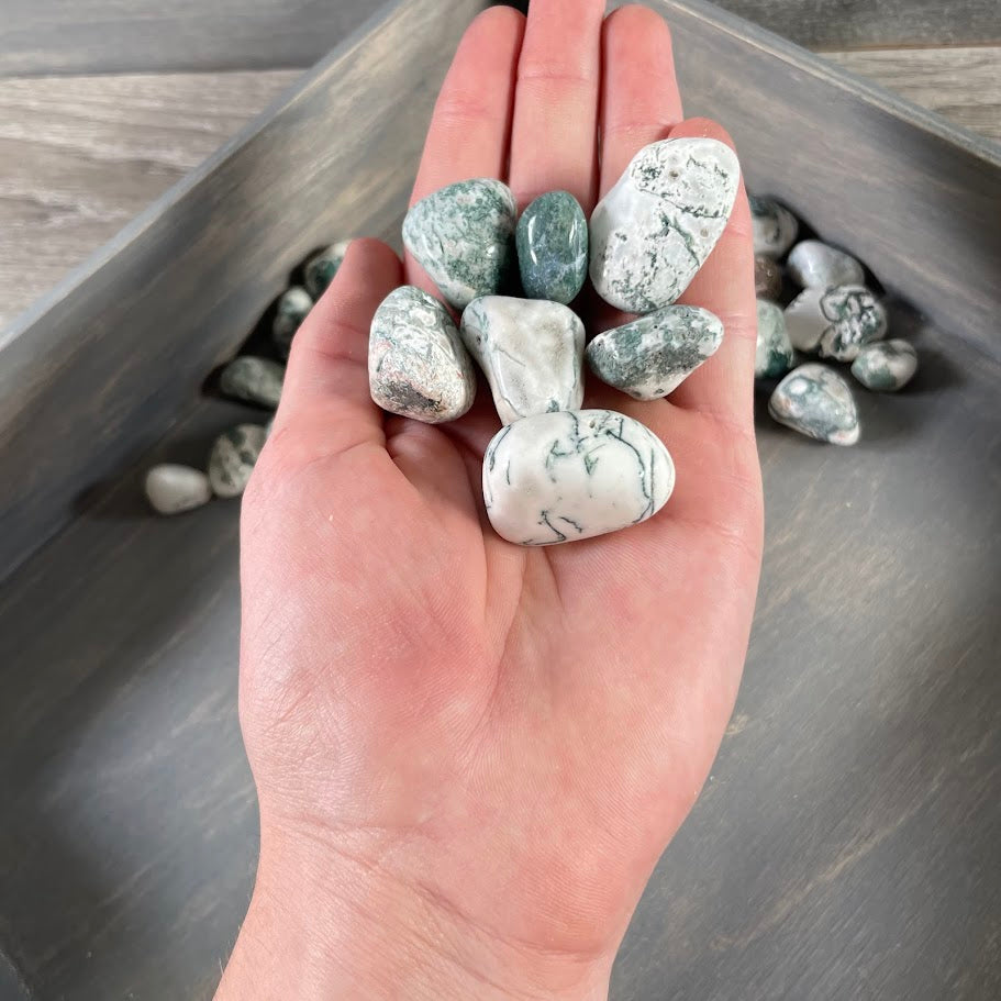 Wholesale Tree Agate tumbled stones for crystal retailers and gift shops