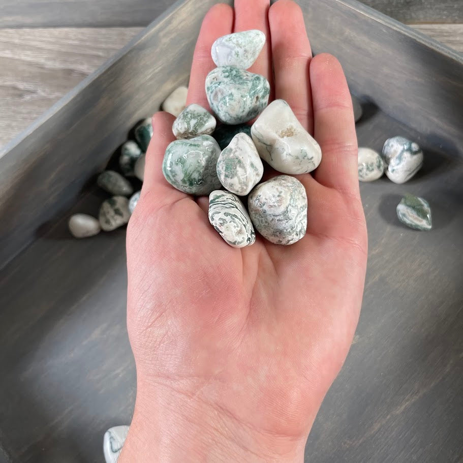 Bulk tree agate healing crystals