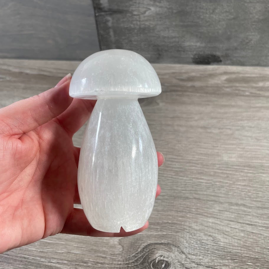 Selenite Lamps in Assorted Styles – Wholesale for Retail & Gift Shops
