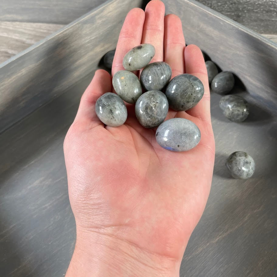 Iridescent labradorite crystal mix for metaphysical shop supply