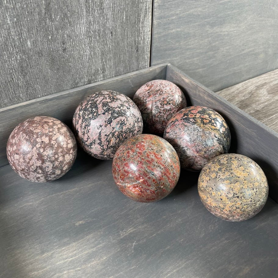 Lot of six leopard skin jasper spheres for metaphysical shops