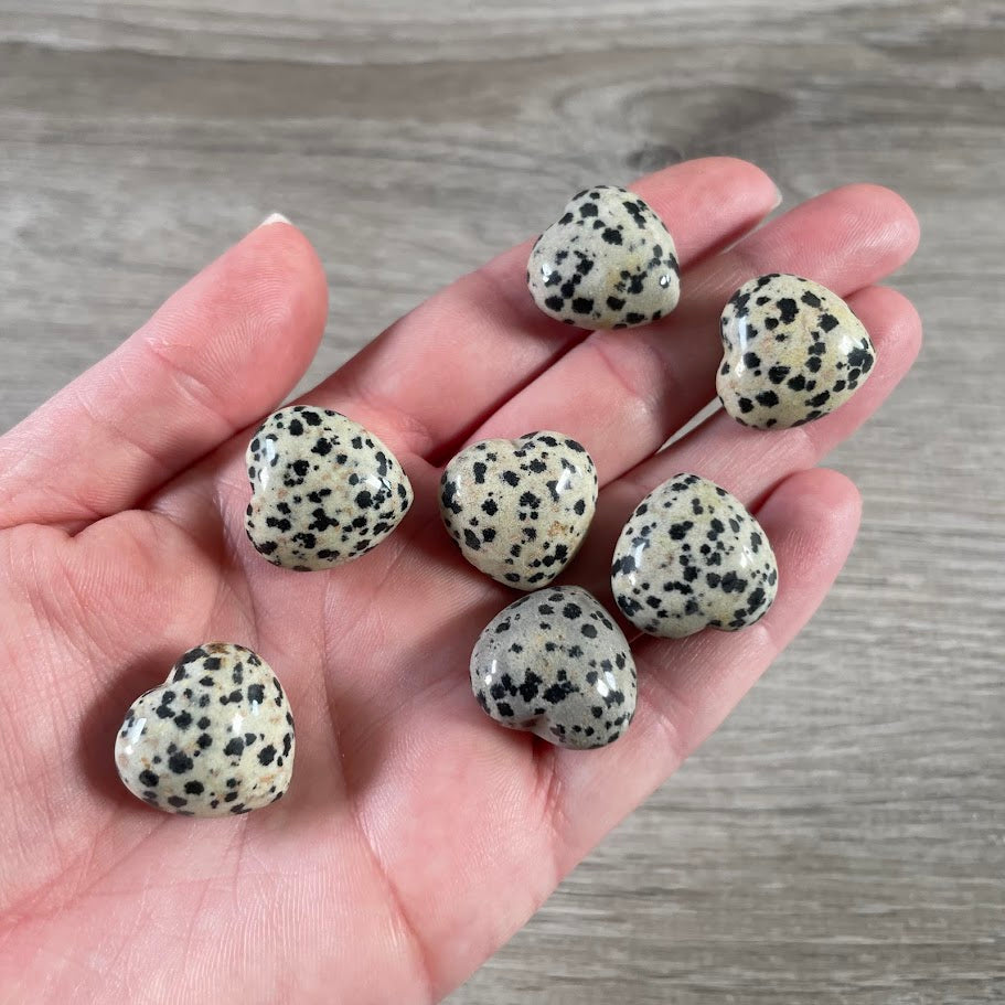 dalmatian jasper 20mm gemstone heart carvings bulk crystal hearts wholesale