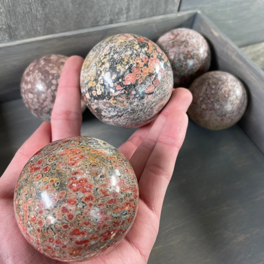 Leopard skin jasper spheres; wholesale
