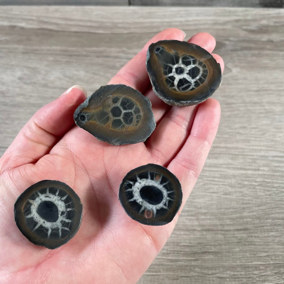 Earth-Toned Septarian Nodules – Wholesale Crystal Decor