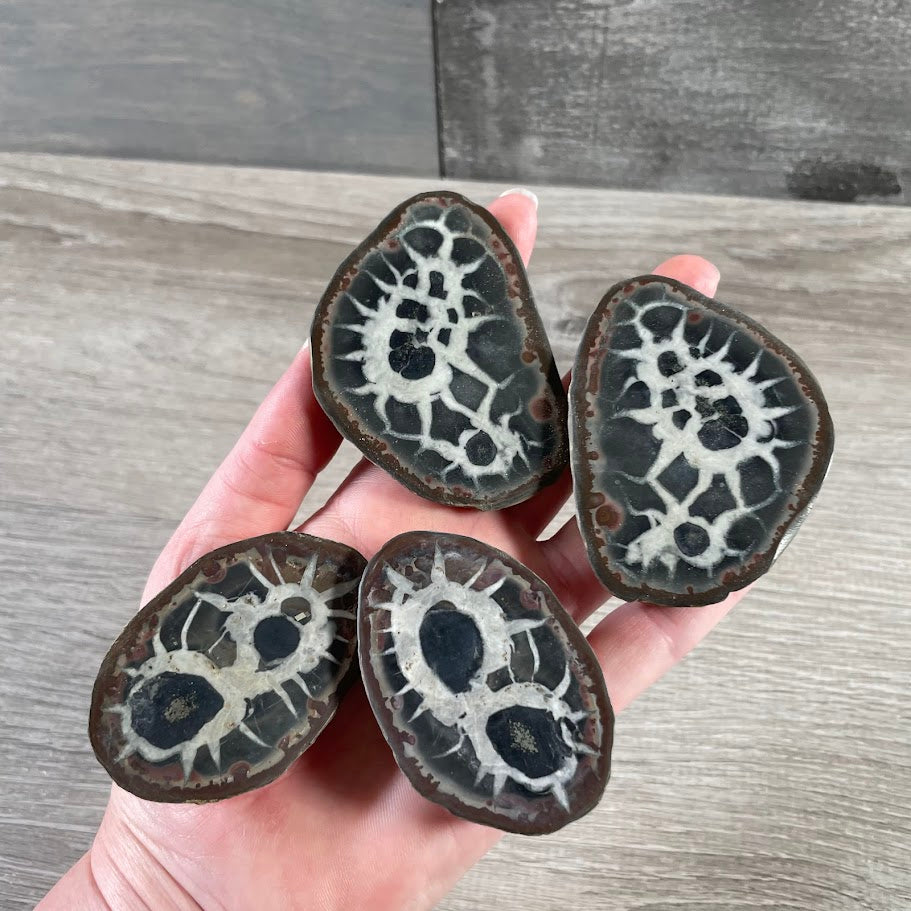 Wholesale Septarian Stone Pair