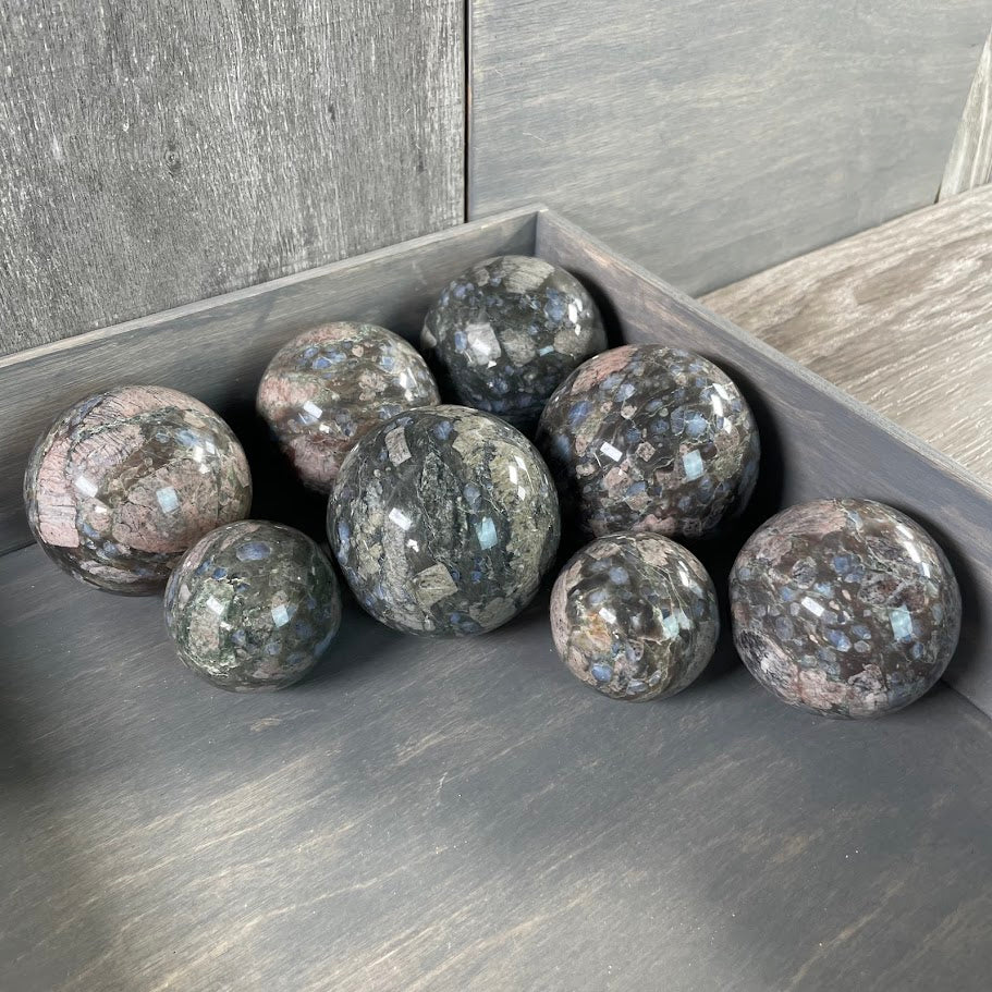 Que Sera Sera bulk purchase