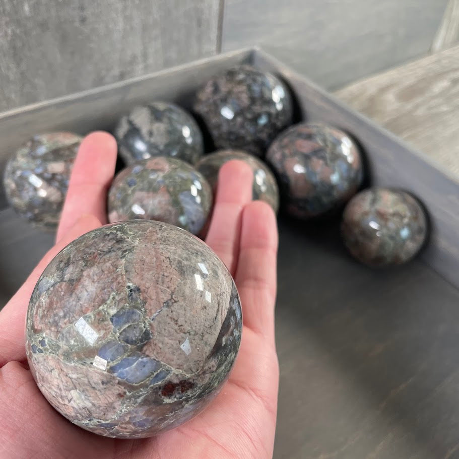 Que Sera Sera bulk wholesale lot