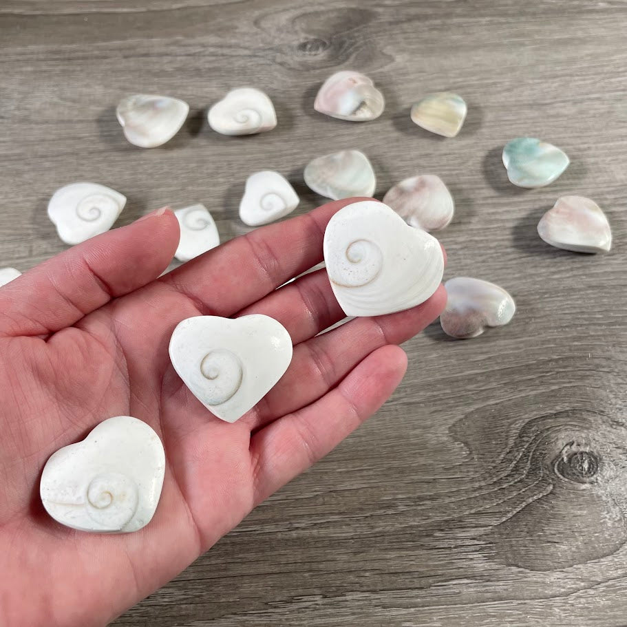 Wholesale heart-shaped Shiva Eye shell carving