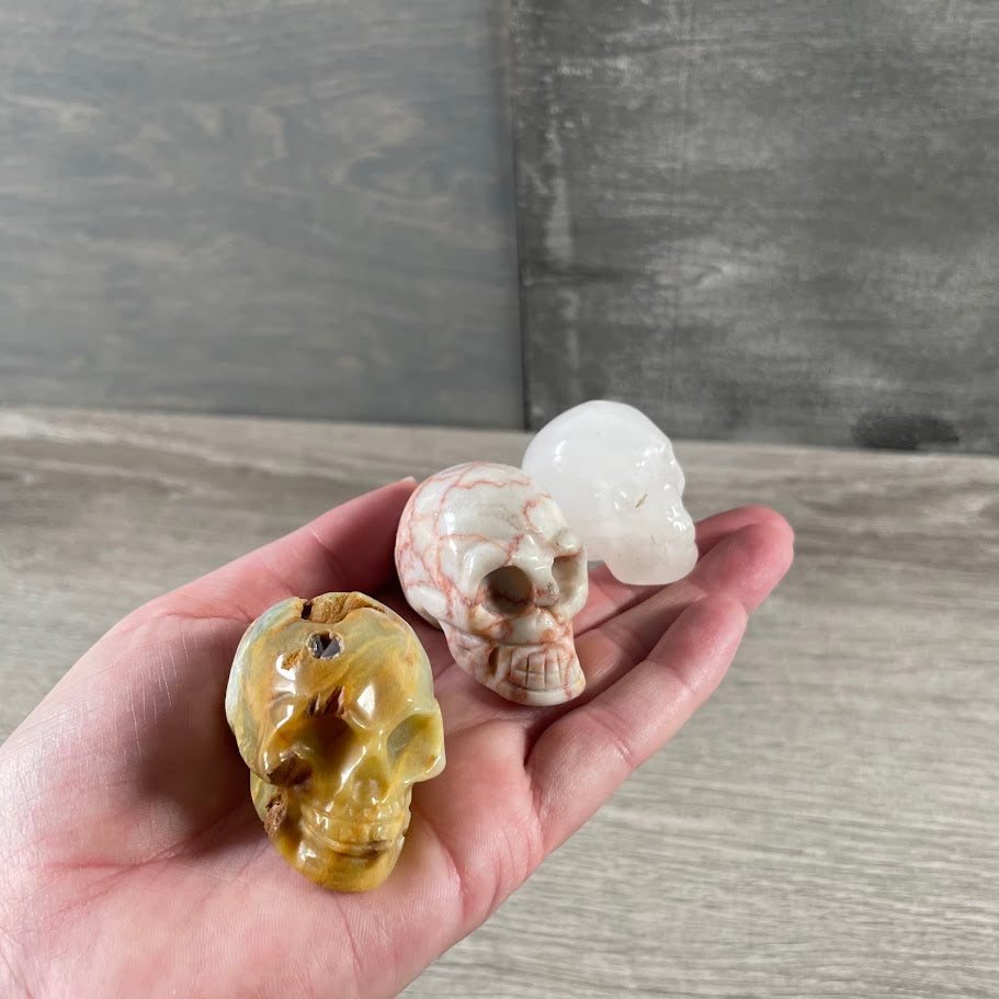 Assorted Gemstone Skull Figurines – Crystal Carvings in Bulk