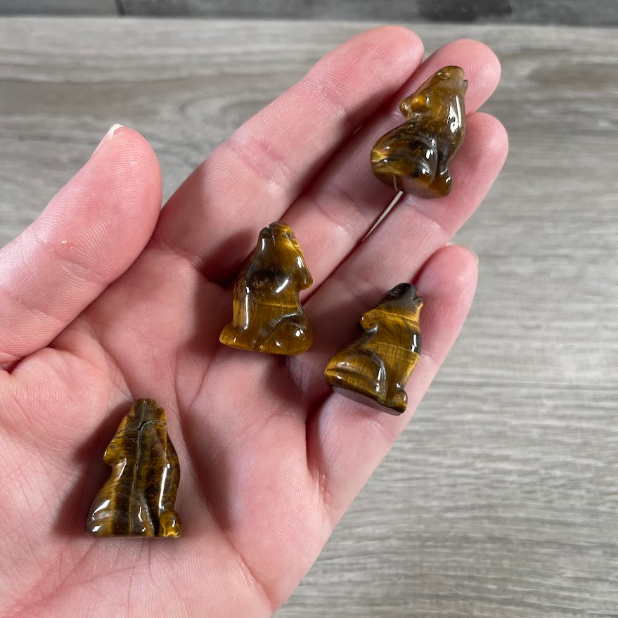 tiger eye coyote figurines for spiritual shops