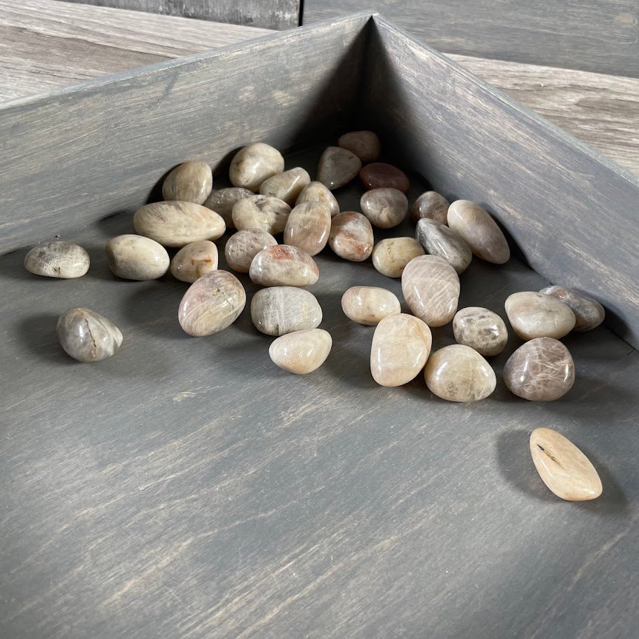 Black Moonstone crystals with shimmering dark hues, sold in 1LB lots for wholesale buyers.