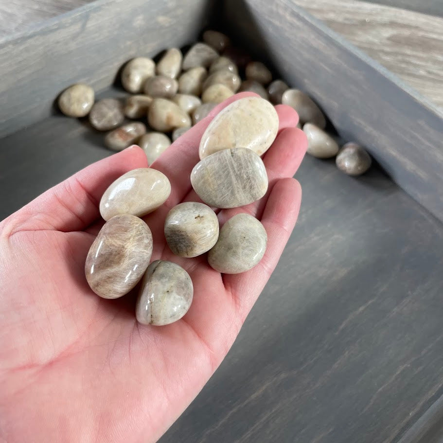 Bulk Black Moonstone stones in 1LB lots for metaphysical and spiritual supply shops.