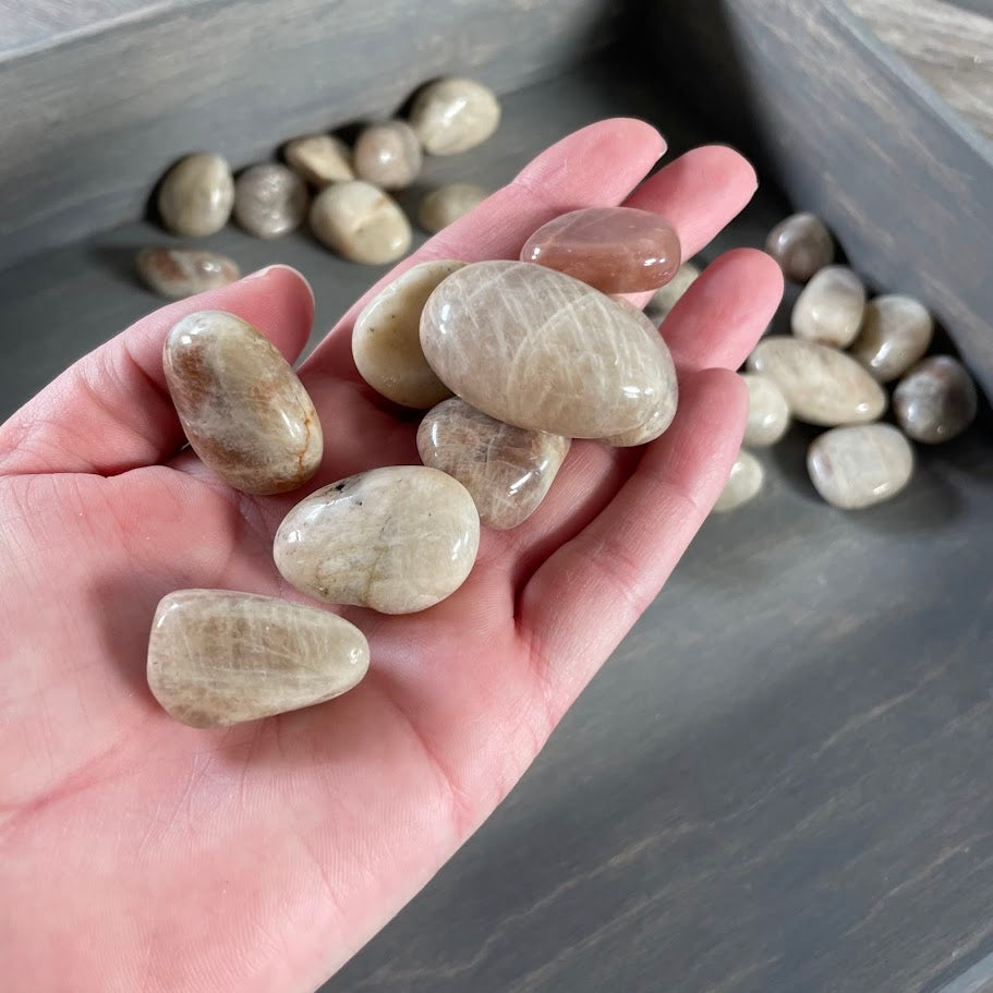 Black Moonstone tumbled stones for grounding and intuitive energy work, wholesale lot.