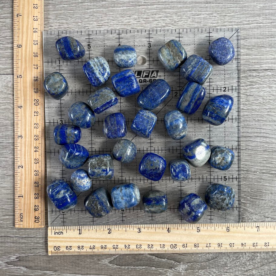 bulk lapis lazuli tumbled gemstones 1 lb for resale