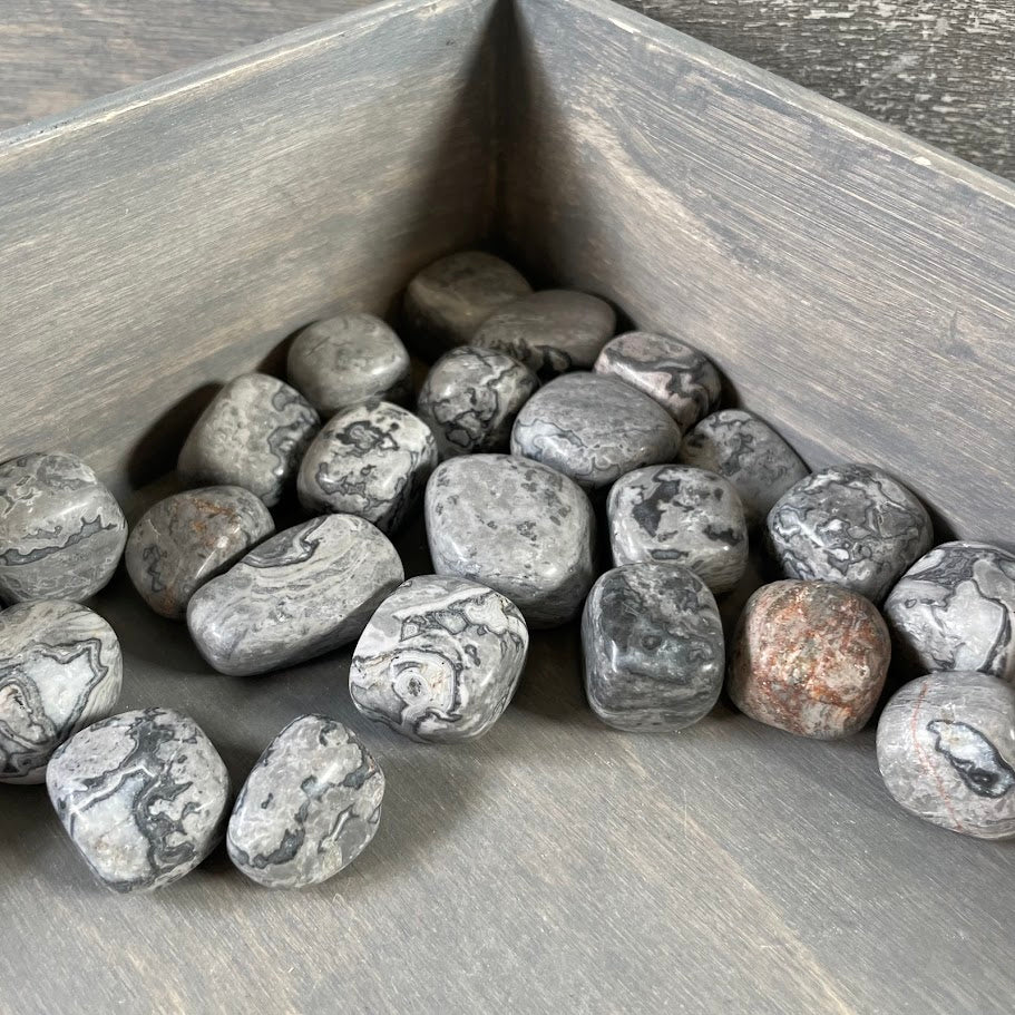 Silver Leaf Jasper wholesale crystals for metaphysical stores