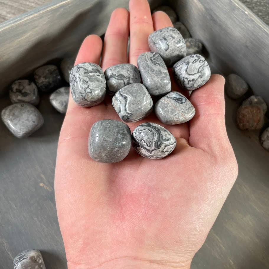 Wholesale tumbled Silver Leaf Jasper stones for resale