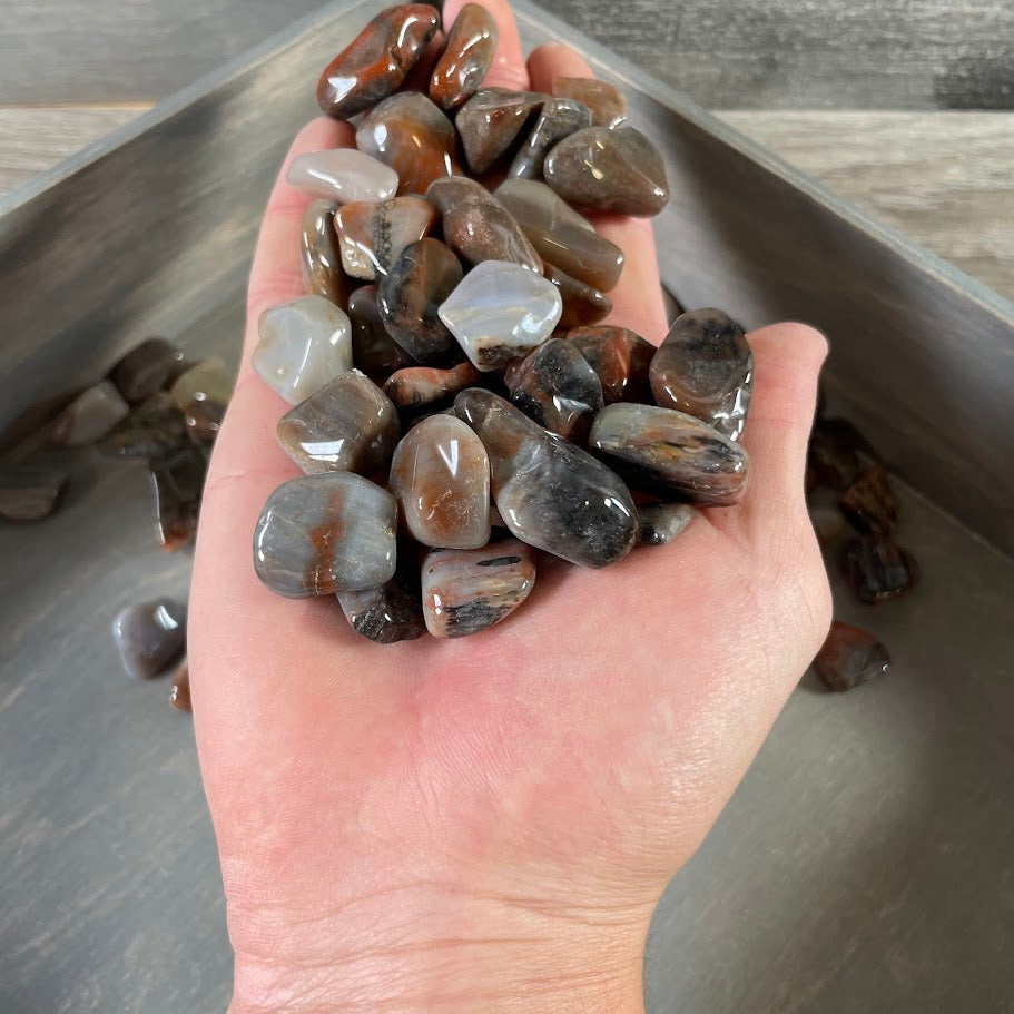 petrified wood tumbled crystals ideal for gift stores and spiritual retailers