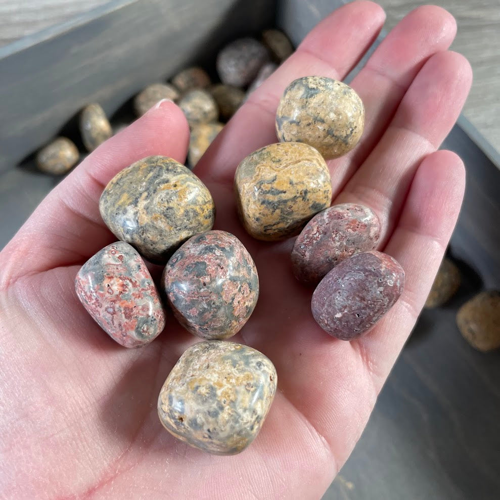 leopardskin jasper tumbled stones bulk