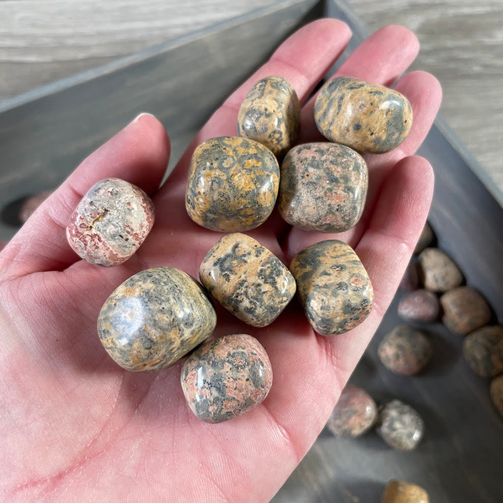 earth tone crystal stones polished jasper