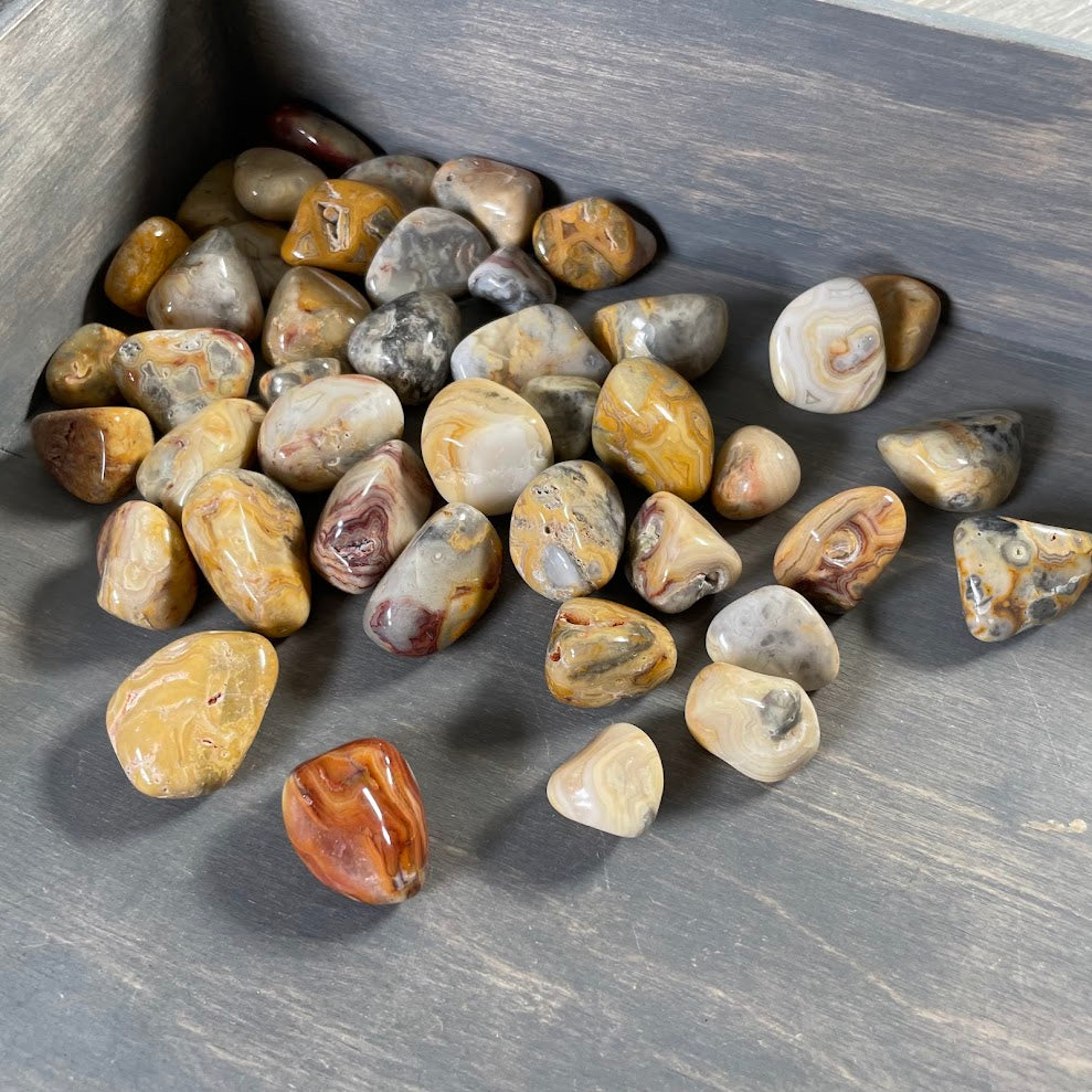 Crazy Lace Agate Tumbled Stones Wholesale - 1 lb Bulk
