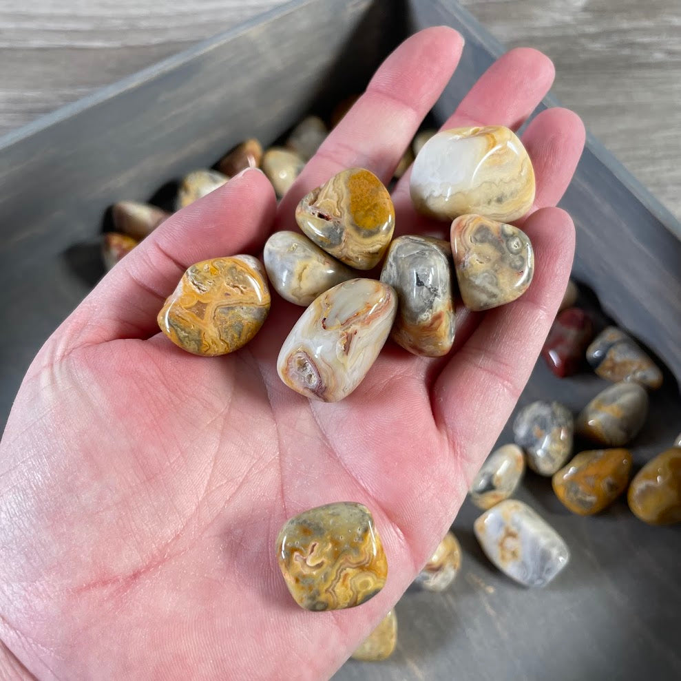 Crazy Lace Agate Tumbled Stones Wholesale - 1 lb Bulk