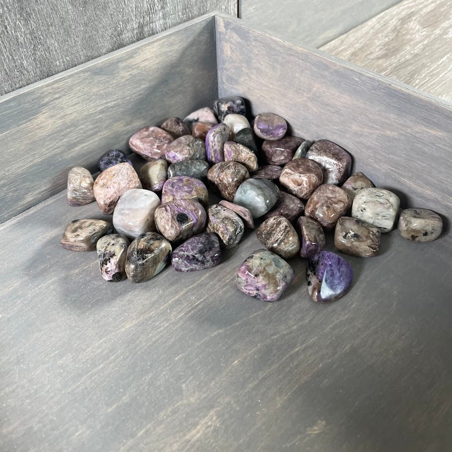 Charoite Tumbled Stones – 1LB Bulk Wholesale Lot