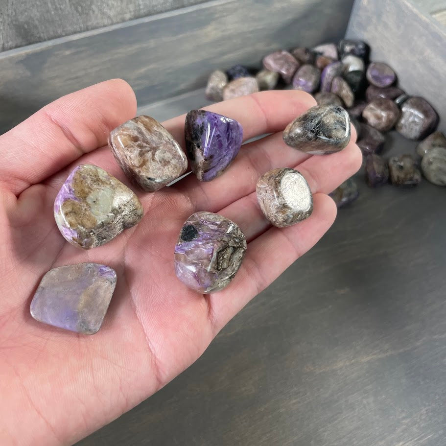 Charoite Tumbled Stones – 1LB Bulk Wholesale Lot