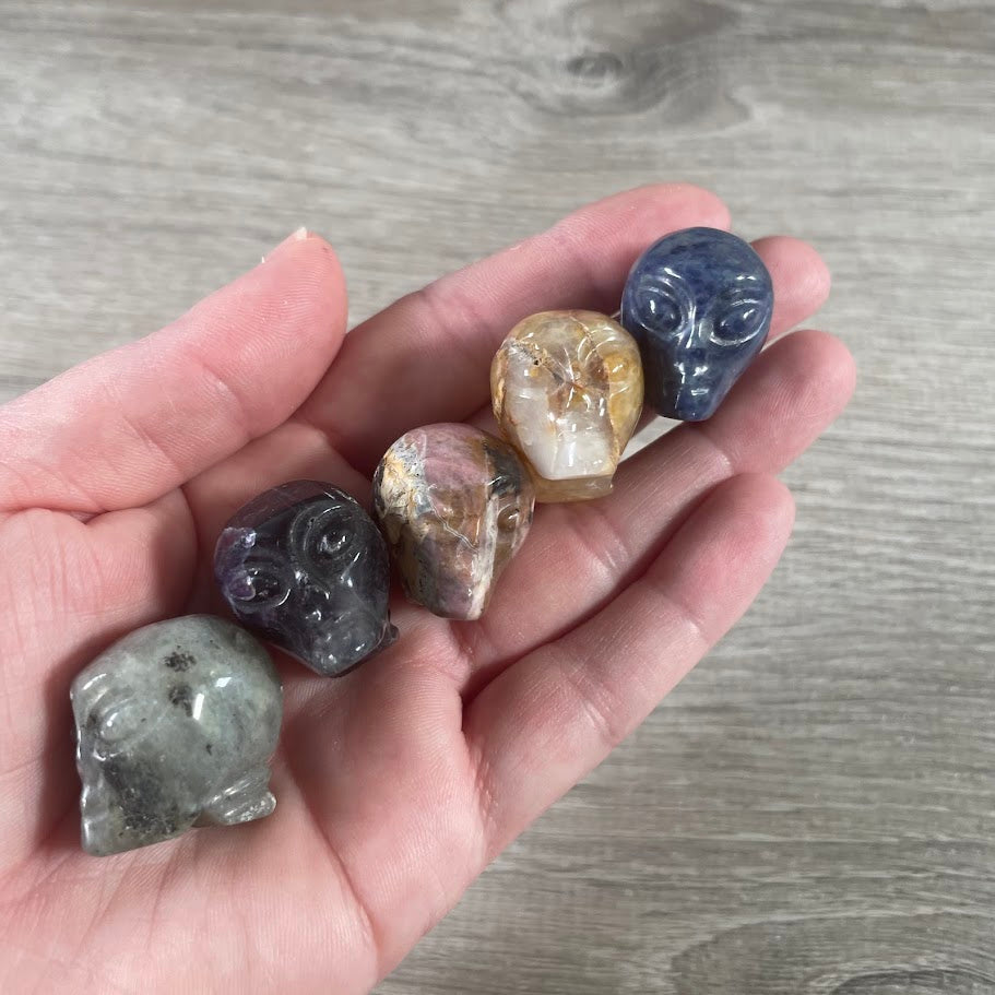Assorted Gemstone Skull Figurines – Crystal Carvings in Bulk