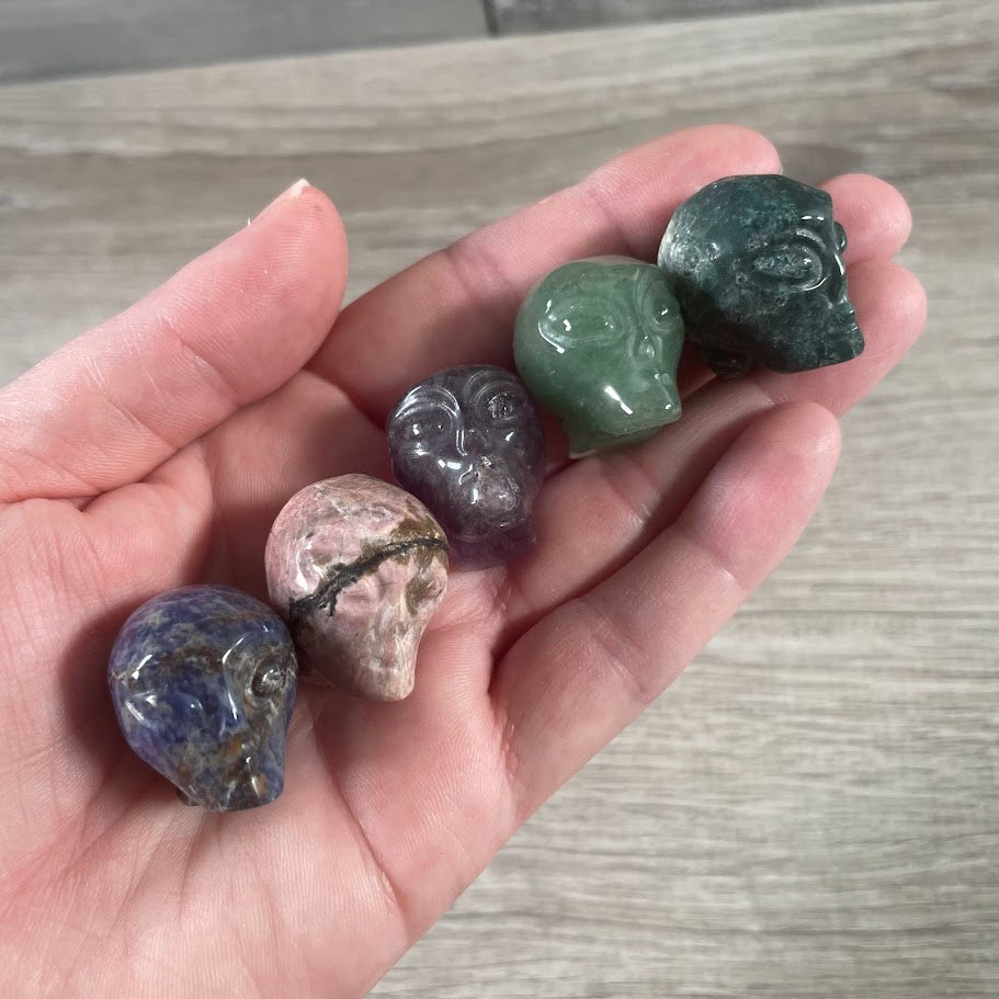 Assorted Gemstone Skull Figurines – Crystal Carvings in Bulk