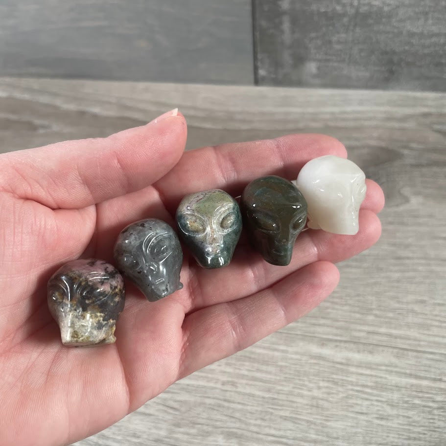 Assorted Gemstone Skull Figurines – Crystal Carvings in Bulk