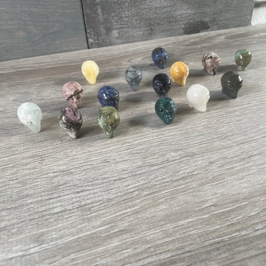 Assorted Gemstone Skull Figurines – Crystal Carvings in Bulk