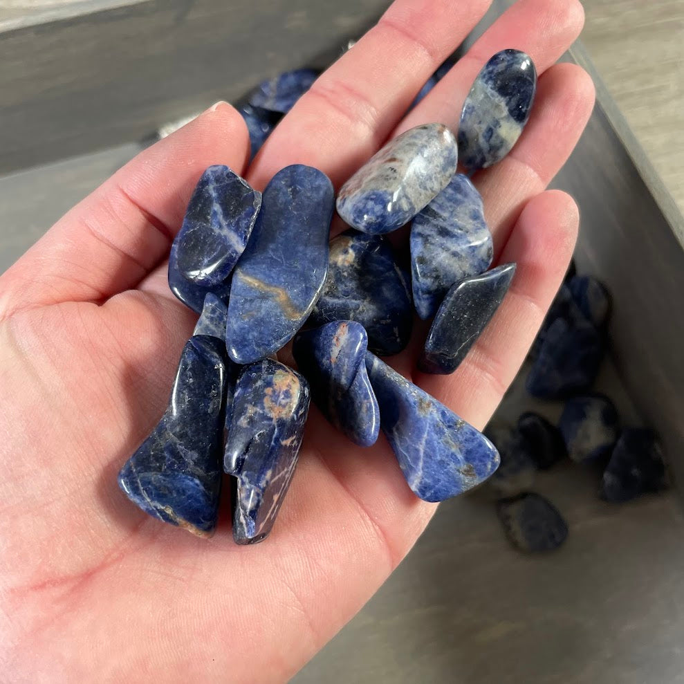 Sodalite Tumbled Stones 1 lb – Wholesale Bulk Crystal Lot