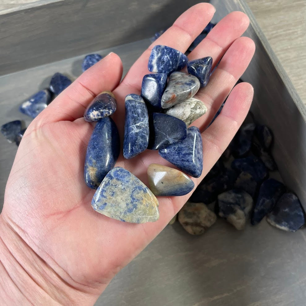 Sodalite Tumbled Stones 1 lb – Wholesale Bulk Crystal Lot